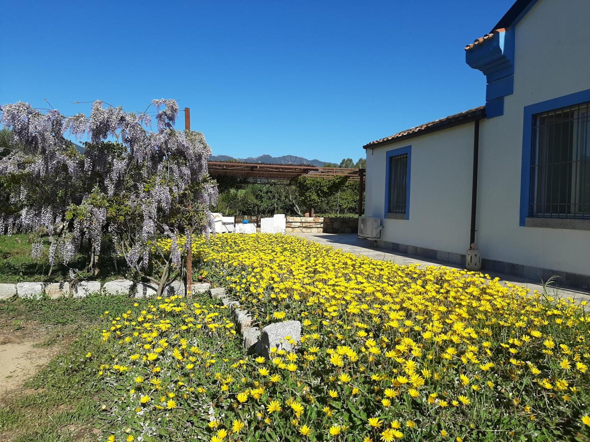 카스티아다스 Casale Diletta B&B 외부 사진