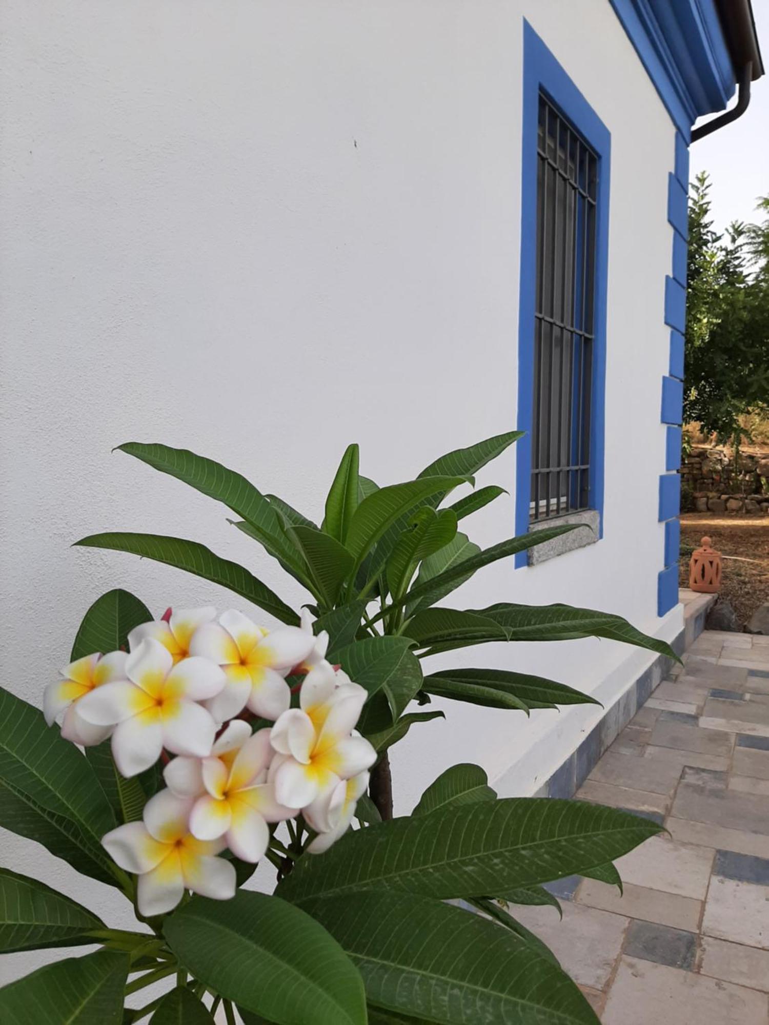 카스티아다스 Casale Diletta B&B 외부 사진